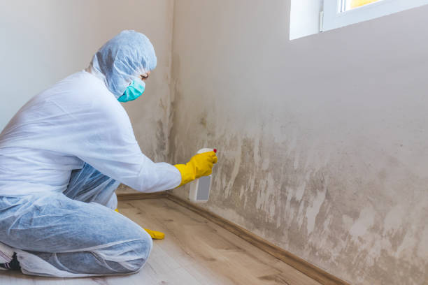 Mold Remediation specialist working in Eure
